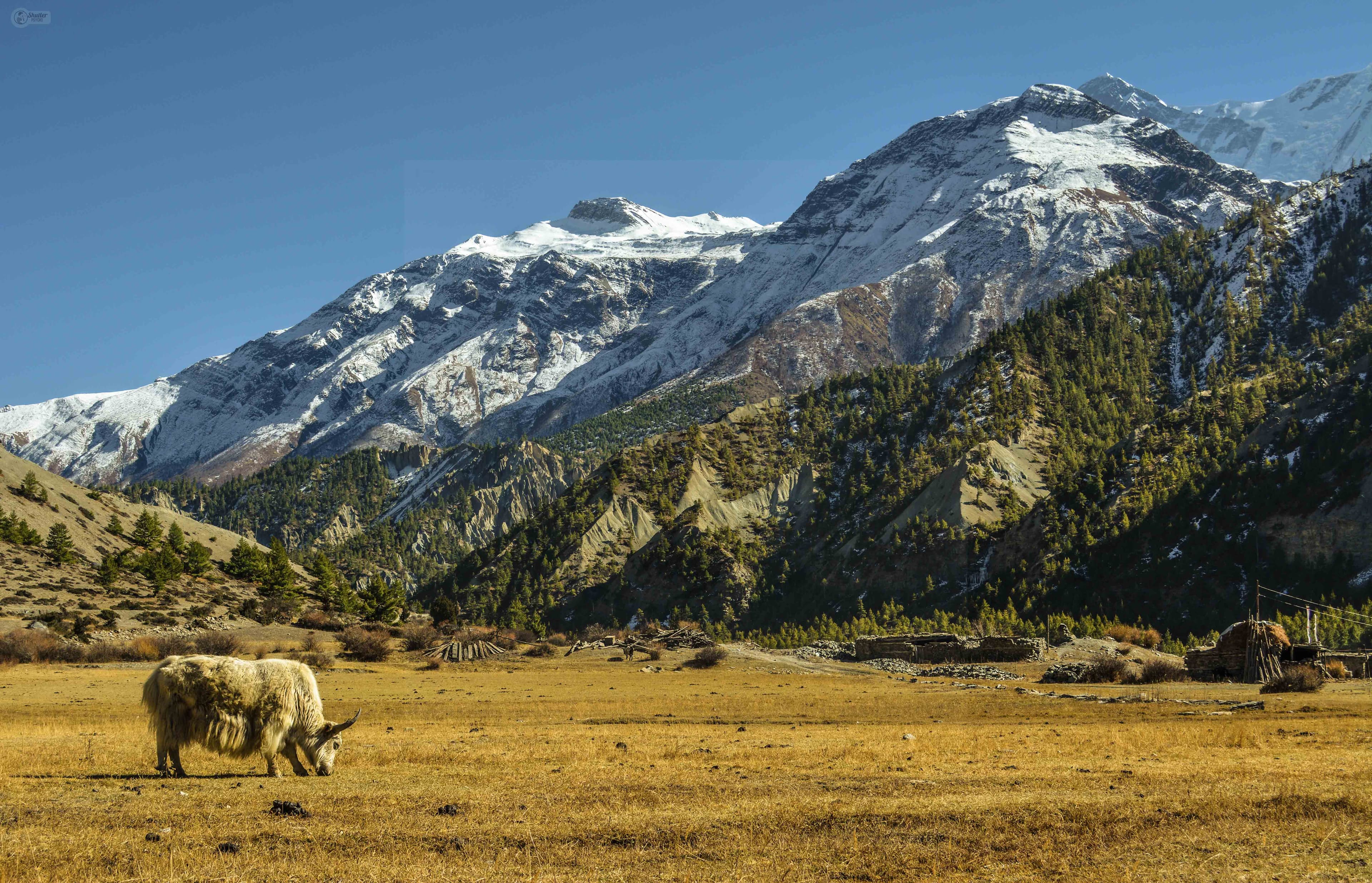 Discover Nepal: A Province-by-Province Guide to Unforgettable Attractions